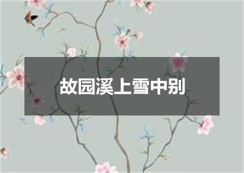 故园溪上雪中别