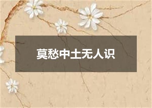 莫愁中土无人识