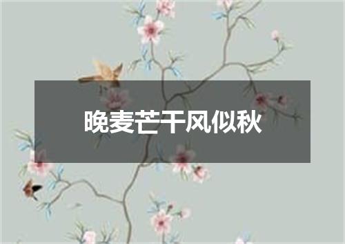 晚麦芒干风似秋