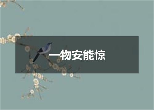 一物安能惊