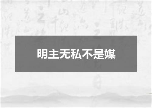 明主无私不是媒