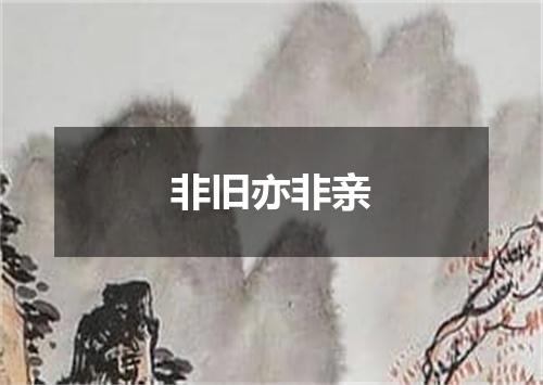 非旧亦非亲