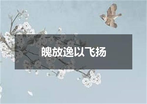 魄放逸以飞扬
