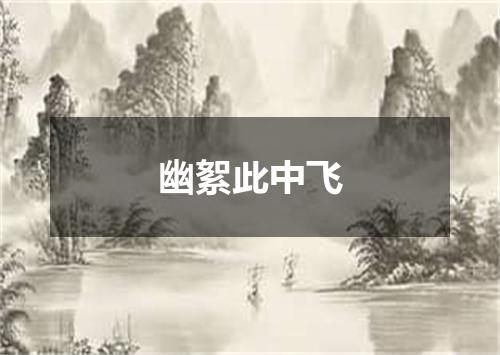 幽絮此中飞