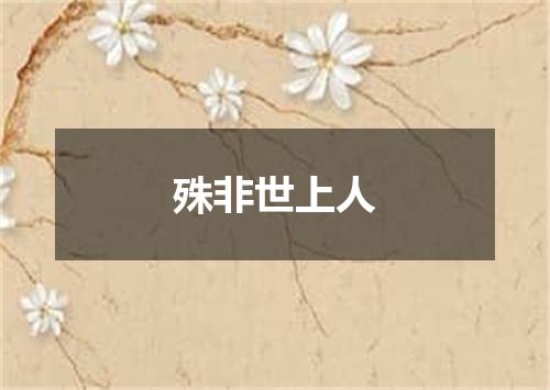 殊非世上人