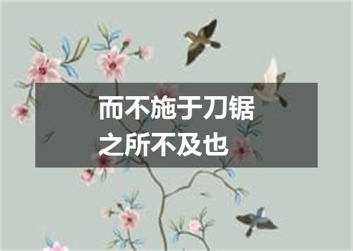 而不施于刀锯之所不及也