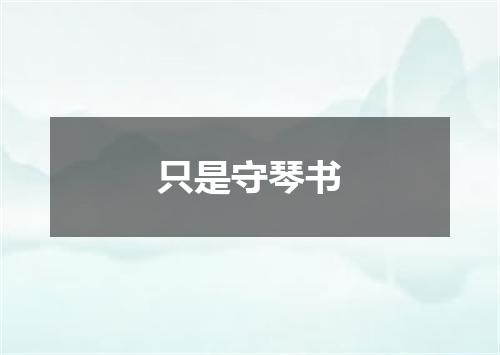 只是守琴书