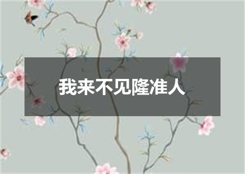 我来不见隆准人