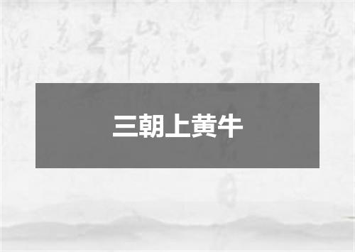 三朝上黄牛