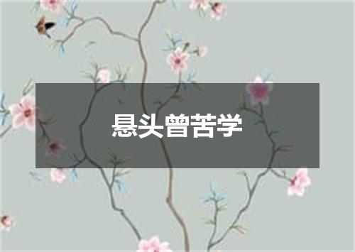 悬头曾苦学