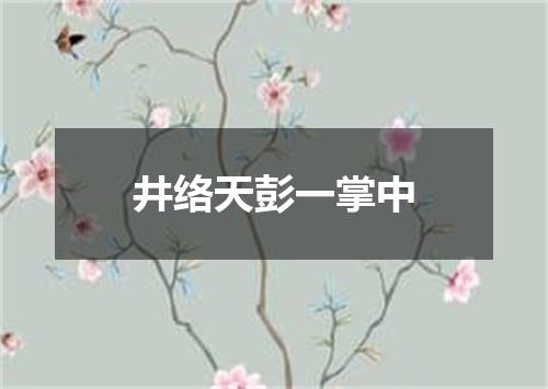 井络天彭一掌中