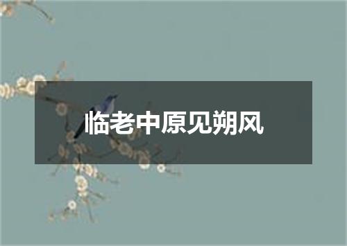 临老中原见朔风