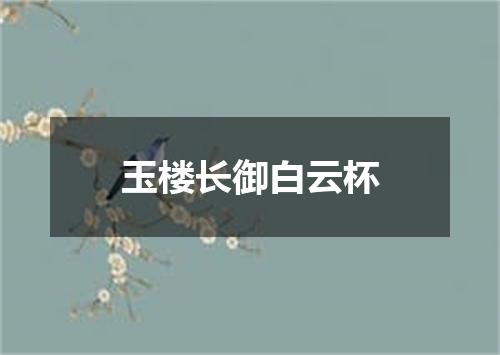 玉楼长御白云杯