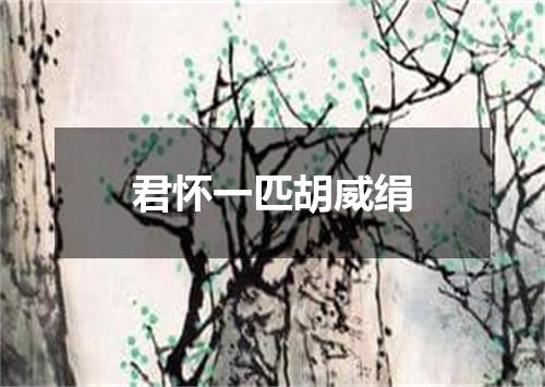 君怀一匹胡威绢