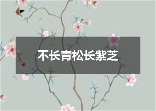 不长青松长紫芝