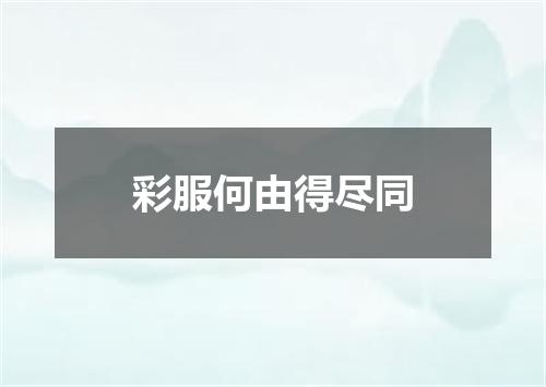 彩服何由得尽同
