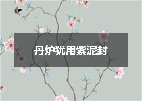 丹炉犹用紫泥封