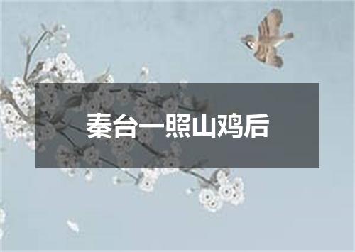 秦台一照山鸡后