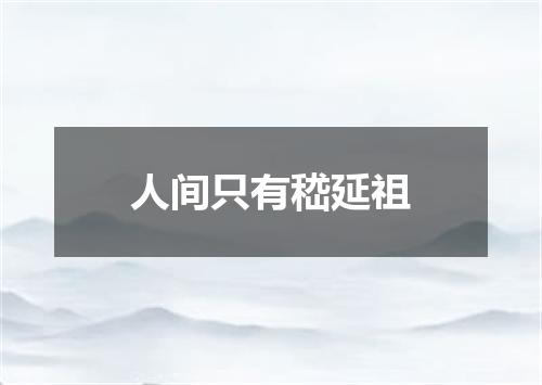 人间只有嵇延祖