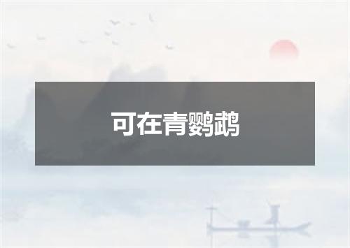 可在青鹦鹉