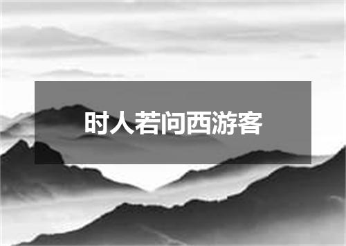 时人若问西游客