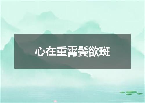 心在重霄鬓欲斑