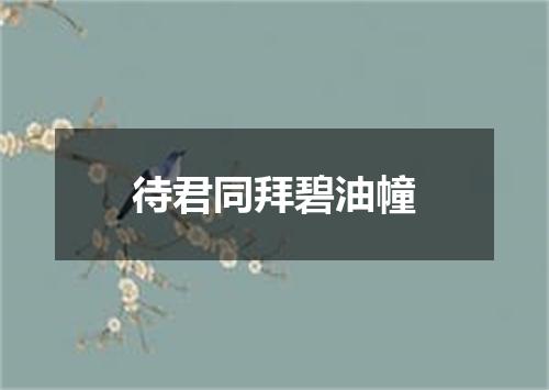 待君同拜碧油幢