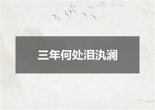 三年何处泪汍澜