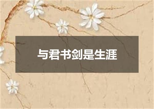 与君书剑是生涯