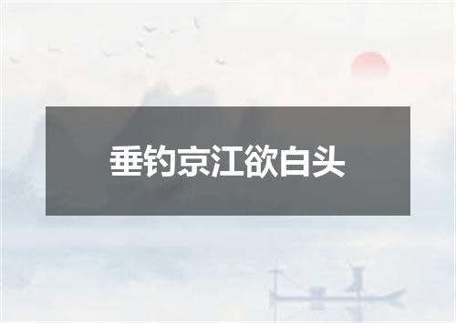 垂钓京江欲白头