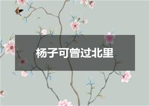 杨子可曾过北里