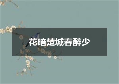 花暗楚城春醉少