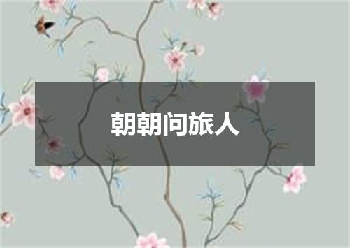 朝朝问旅人