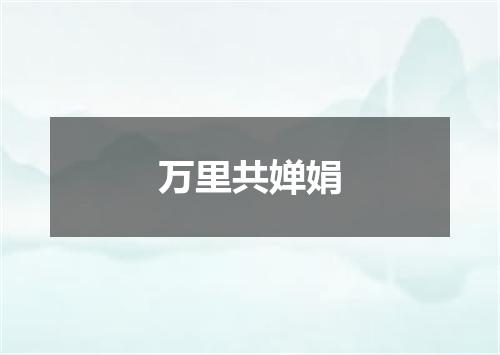 万里共婵娟