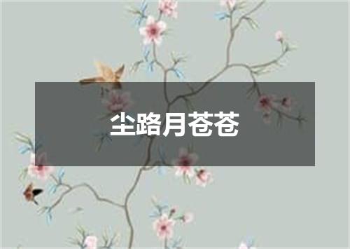 尘路月苍苍