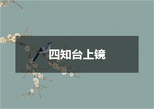 四知台上镜