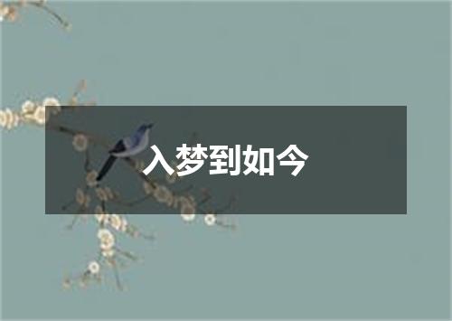 入梦到如今