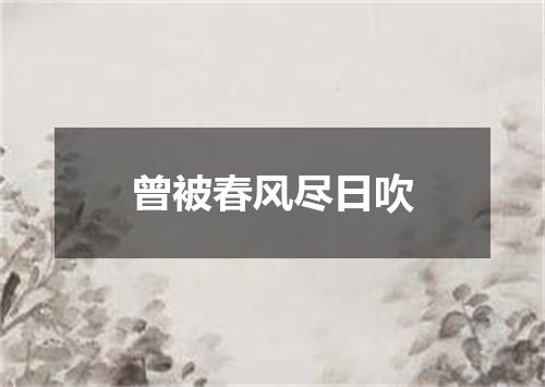 曾被春风尽日吹