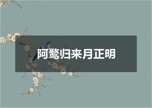 阿鹜归来月正明