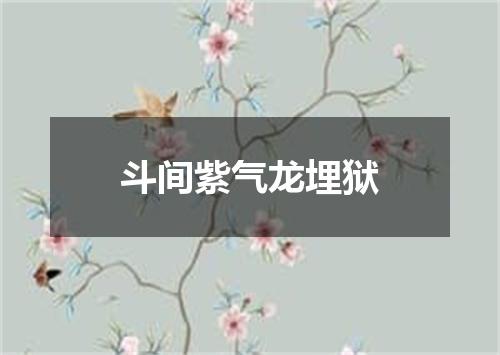 斗间紫气龙埋狱