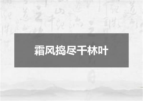 霜风捣尽千林叶