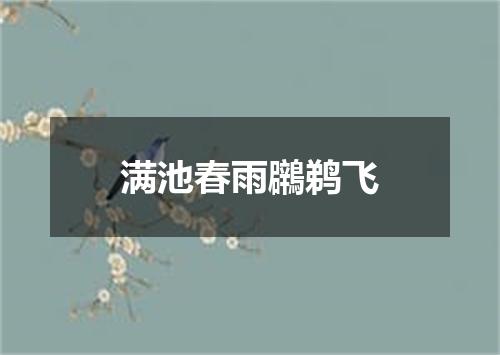 满池春雨鸊鹈飞