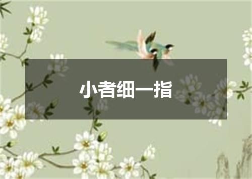 小者细一指
