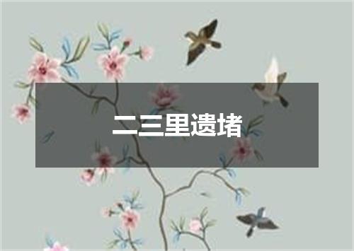 二三里遗堵
