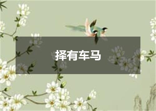 择有车马