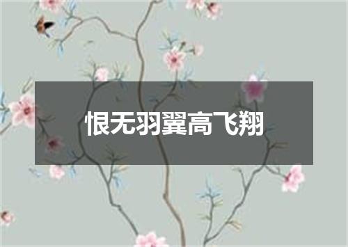 恨无羽翼高飞翔