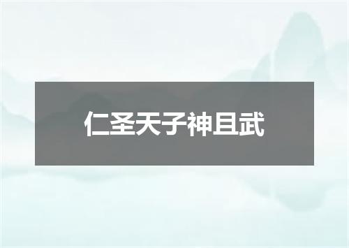仁圣天子神且武