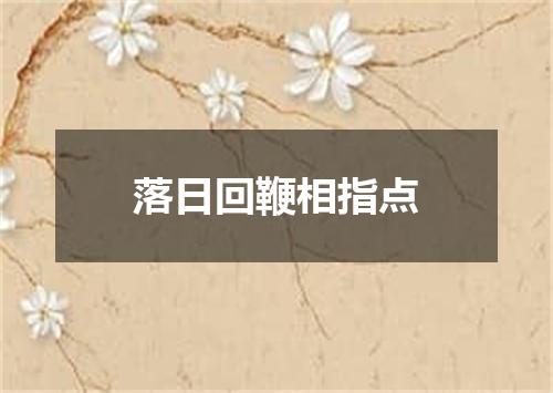 落日回鞭相指点