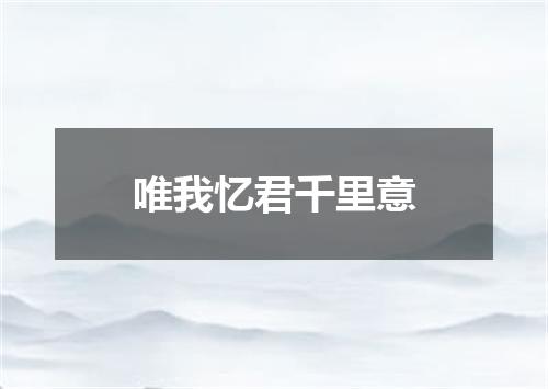 唯我忆君千里意