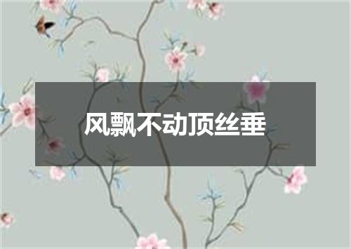 风飘不动顶丝垂